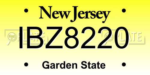 IBZ8220 New Jersey License Plate
