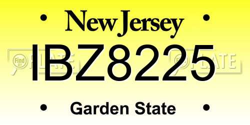 IBZ8225 New Jersey License Plate
