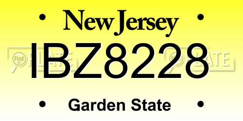 IBZ8228 New Jersey License Plate