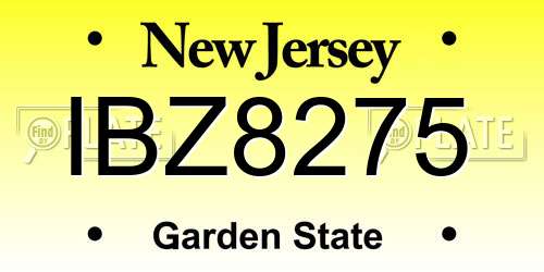 IBZ8275 New Jersey License Plate