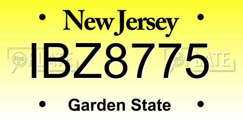 IBZ8775 New Jersey License Plate