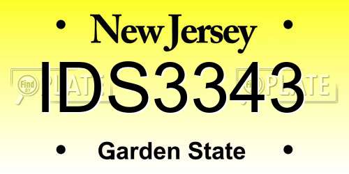 IDS3343 New Jersey License Plate