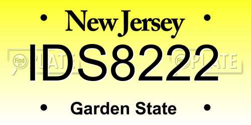 IDS8222 New Jersey License Plate