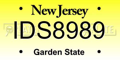 IDS8989 New Jersey License Plate