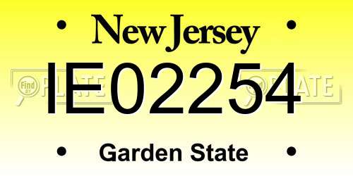 IE02254 New Jersey License Plate