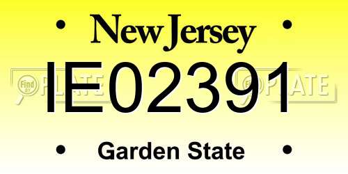 IE02391 New Jersey License Plate