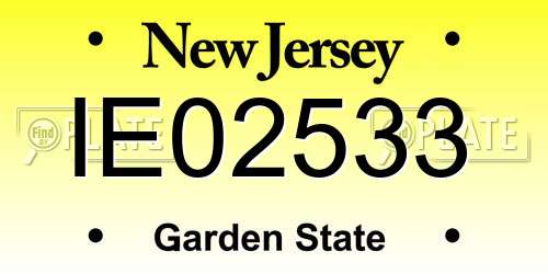 IE02533 New Jersey License Plate