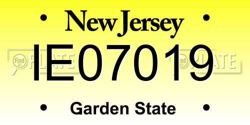 IE07019 New Jersey License Plate