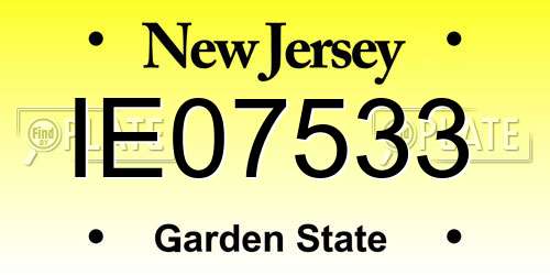IE07533 New Jersey License Plate