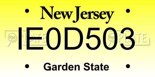 IE0D503 New Jersey License Plate
