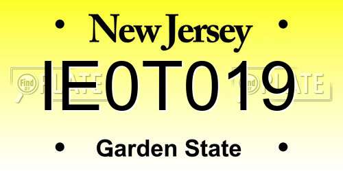 IE0T019 New Jersey License Plate