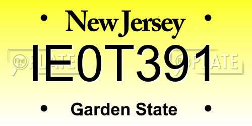 IE0T391 New Jersey License Plate