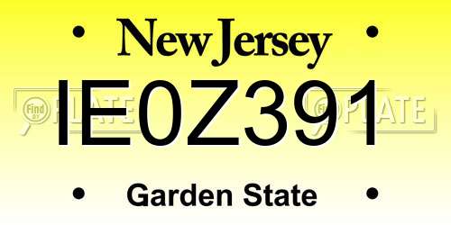 IE0Z391 New Jersey License Plate