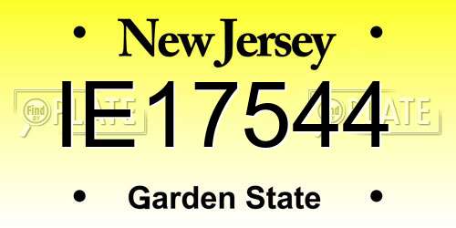 IE17544 New Jersey License Plate