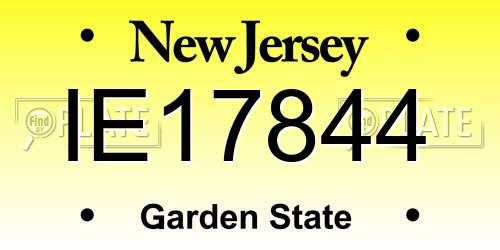 IE17844 New Jersey License Plate