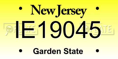 IE19045 New Jersey License Plate