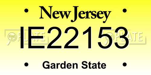 IE22153 New Jersey License Plate