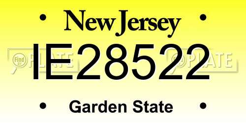IE28522 New Jersey License Plate