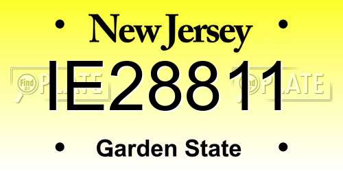 IE28811 New Jersey License Plate