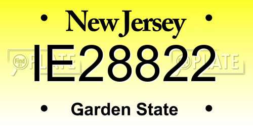 IE28822 New Jersey License Plate