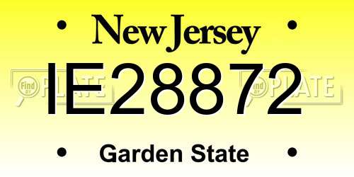 IE28872 New Jersey License Plate