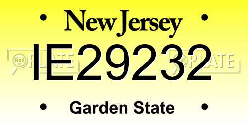 IE29232 New Jersey License Plate