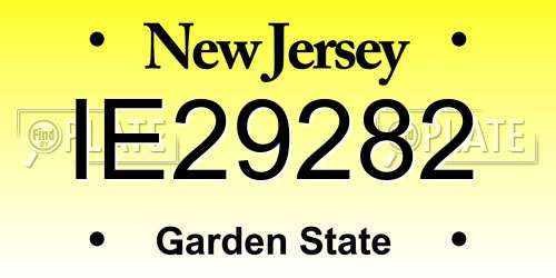 IE29282 New Jersey License Plate