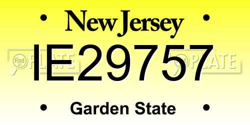 IE29757 New Jersey License Plate
