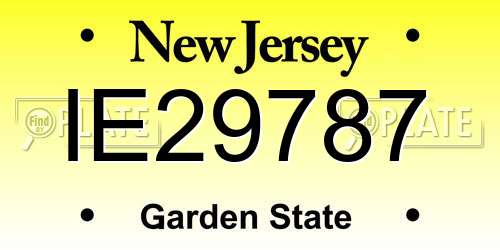 IE29787 New Jersey License Plate