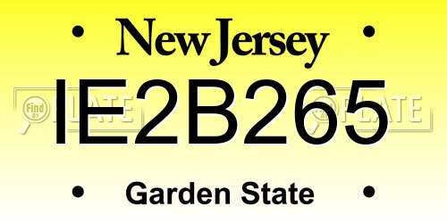 IE2B265 New Jersey License Plate
