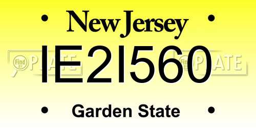 IE2I560 New Jersey License Plate