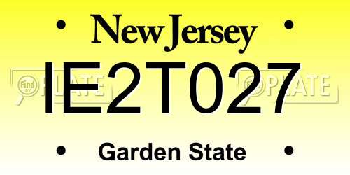 IE2T027 New Jersey License Plate