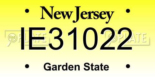 IE31022 New Jersey License Plate