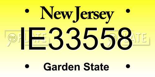 IE33558 New Jersey License Plate