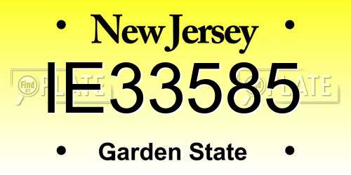 IE33585 New Jersey License Plate