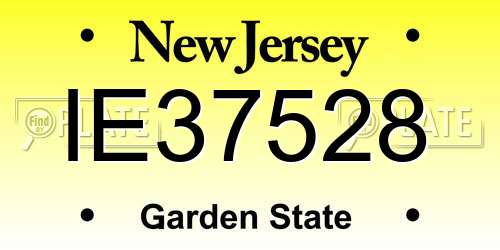 IE37528 New Jersey License Plate