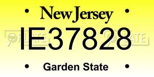 IE37828 New Jersey License Plate