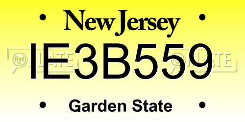 IE3B559 New Jersey License Plate