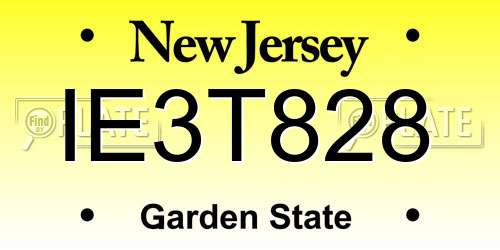 IE3T828 New Jersey License Plate