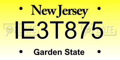 IE3T875 New Jersey License Plate