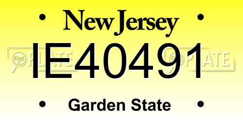 IE40491 New Jersey License Plate