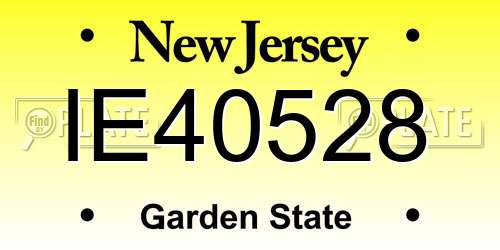 IE40528 New Jersey License Plate