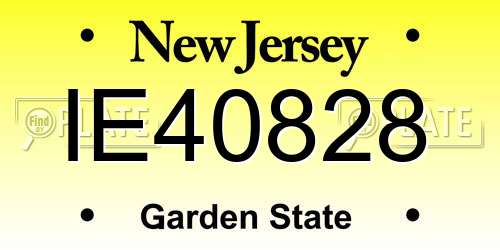 IE40828 New Jersey License Plate