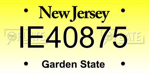 IE40875 New Jersey License Plate