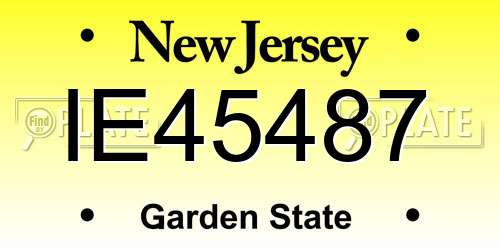 IE45487 New Jersey License Plate