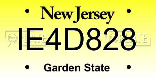 IE4D828 New Jersey License Plate