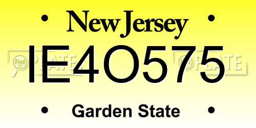 IE4O575 New Jersey License Plate
