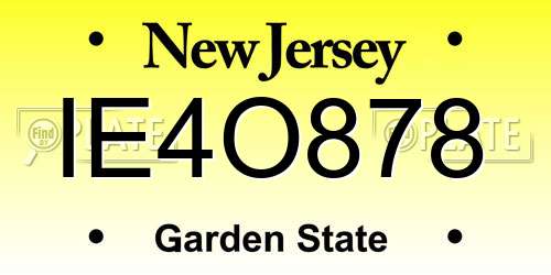 IE4O878 New Jersey License Plate