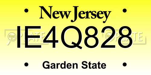 IE4Q828 New Jersey License Plate
