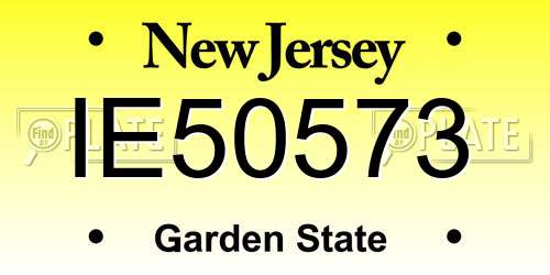 IE50573 New Jersey License Plate
